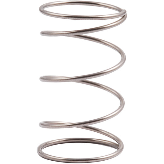 Allen Soft Stainless Steel Spring